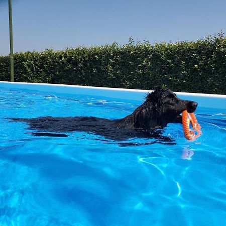Agriturismo Delizia D'Este Francolino Eksteriør billede
