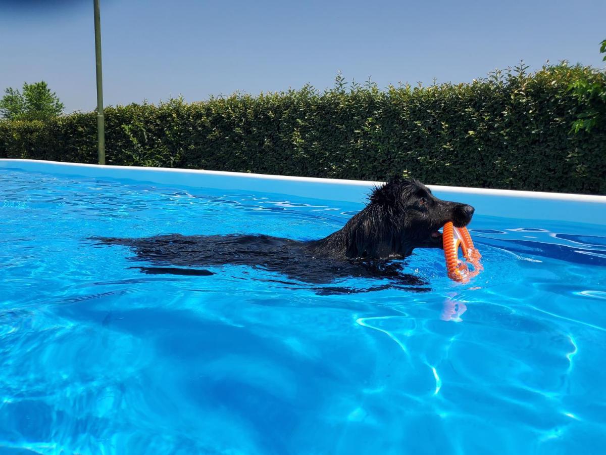 Agriturismo Delizia D'Este Francolino Eksteriør billede