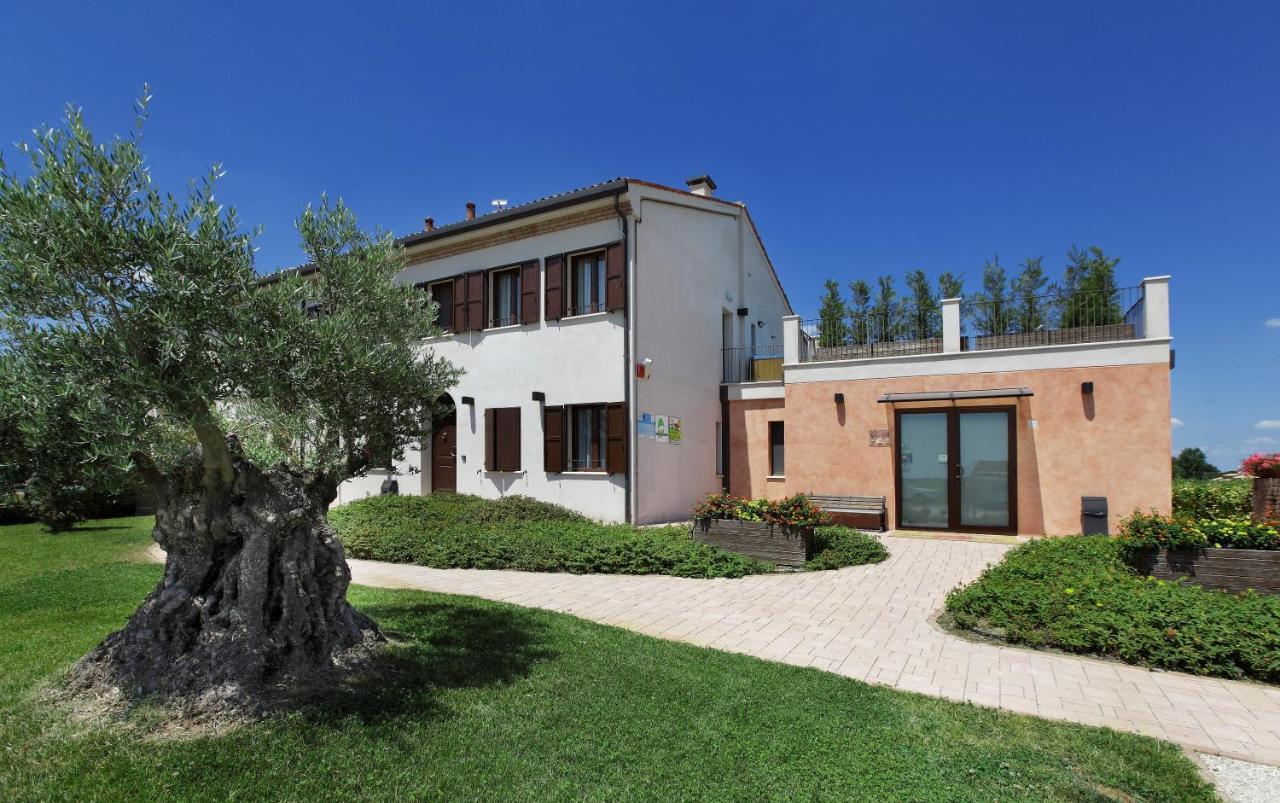 Agriturismo Delizia D'Este Francolino Eksteriør billede